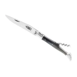 Couteau Laguiole G.David 2 Pièces Corne Mitres Inox Mat 12cm Carbone