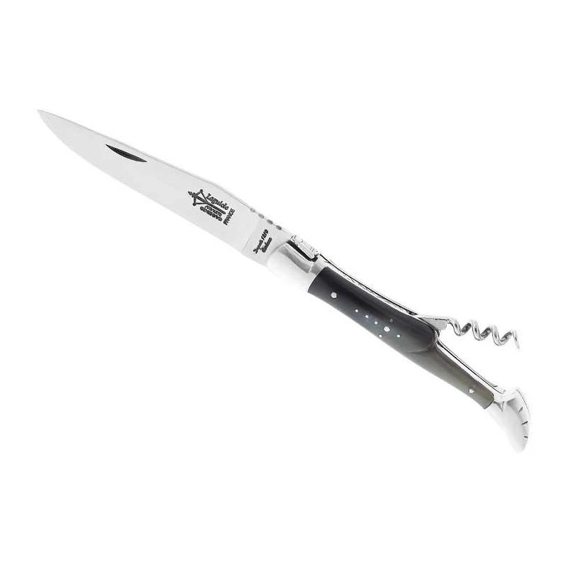 Couteau Laguiole G.David 2 Pièces Corne Mitres Inox Mat 12cm Carbone 1 Couteau Laguiole G.David 2 Pièces Corne Mitres Inox Mat 12cm Carbone