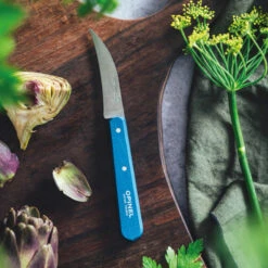 Opinel Magasin -Opinel Magasin couteau legumes opinel n114 bleu paysage 1