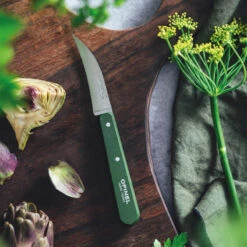 Opinel Magasin -Opinel Magasin couteau legumes opinel n114 kaki paysage 1