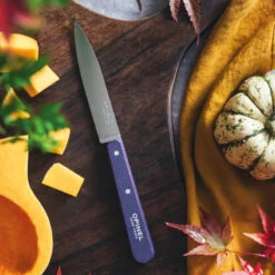 Opinel Magasin -Opinel Magasin couteau office opinel n112 violet paysage 1